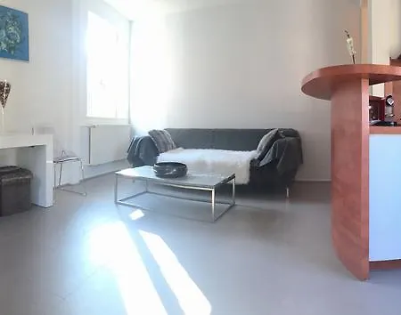 Apartment Appartement Des Moulins Strasbourg
