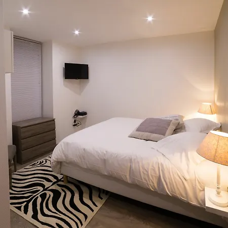 Apartment Appartement Des Moulins Strasbourg