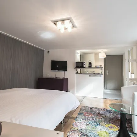 Apartment Appartement Des Moulins Strasbourg